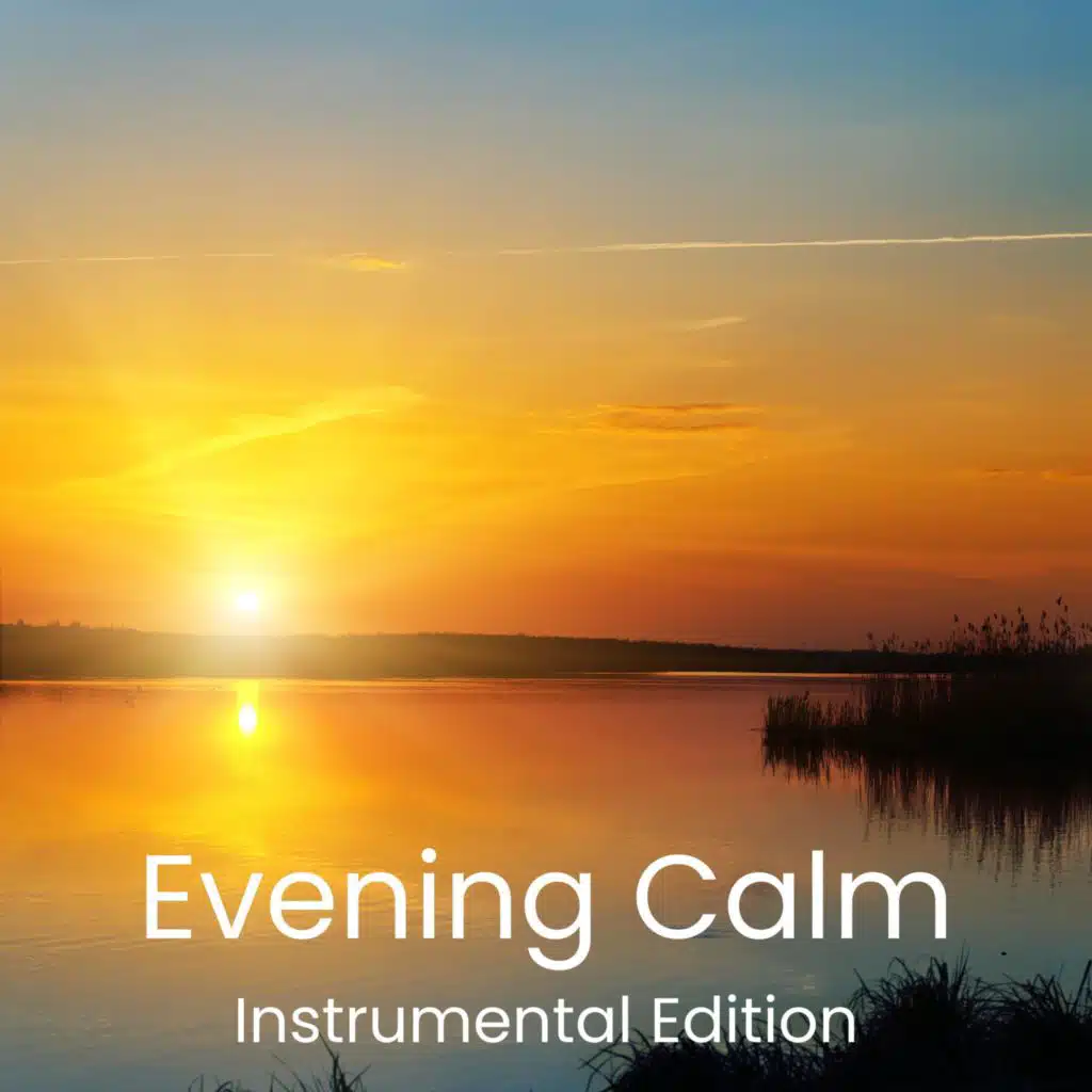 Building Brain Connections