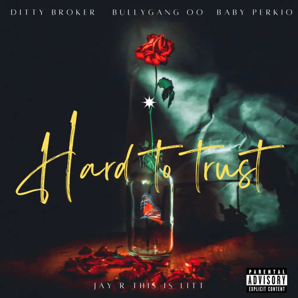 Hard To Trust (feat. Ditty Broker, BullyGang OO & Baby Perkio)