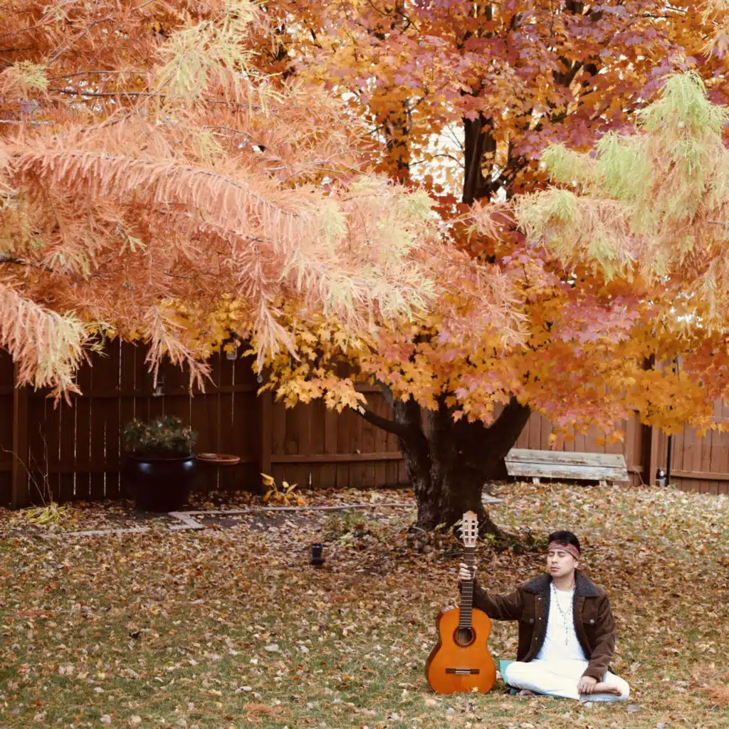 Trova Para Mis Arboles