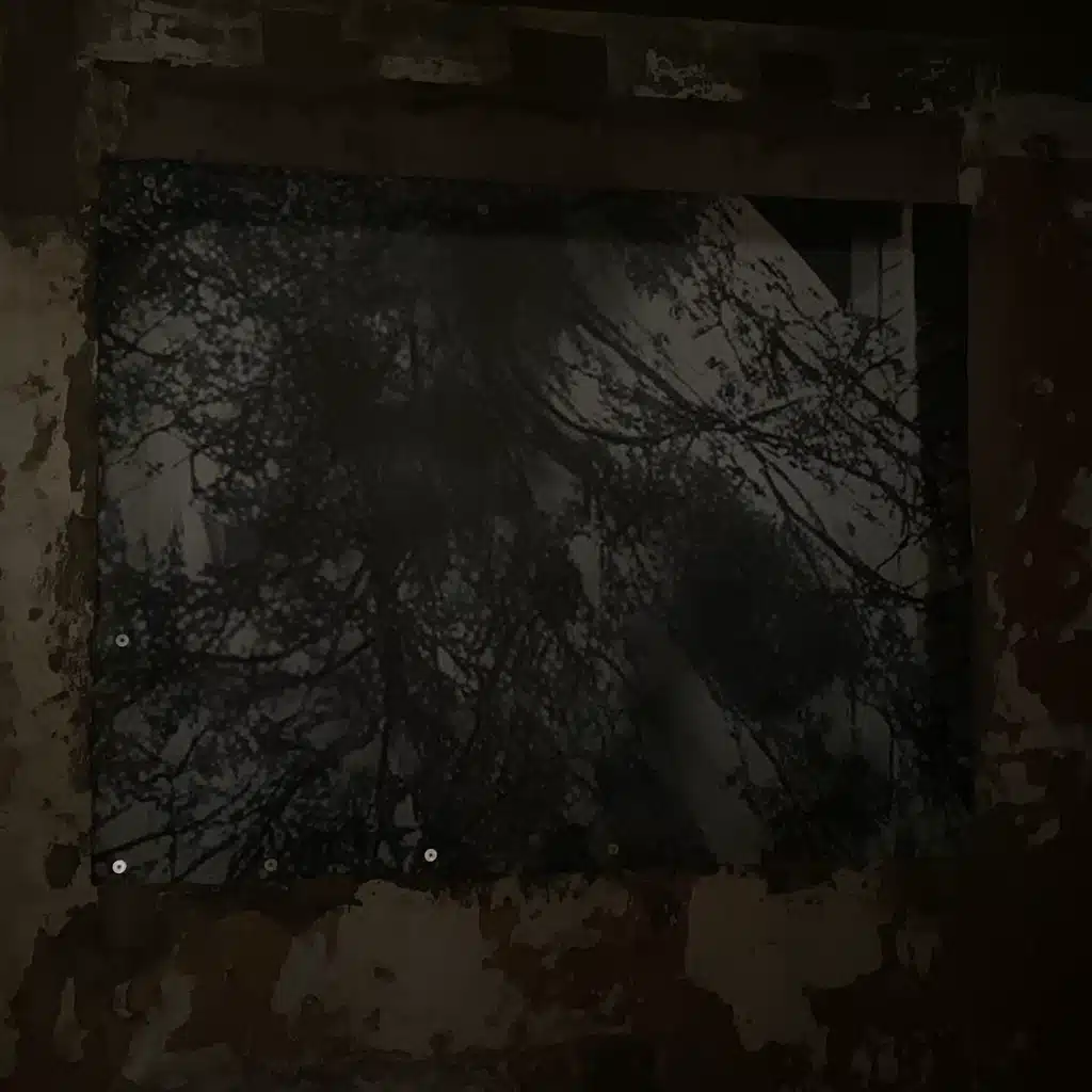 cuz im just a teenage dirtbag babyyy