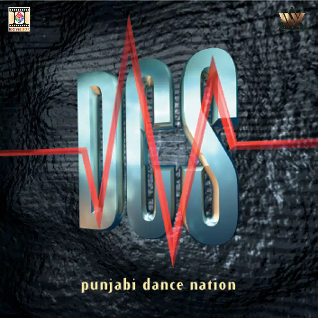 Punjabi Dance Nation