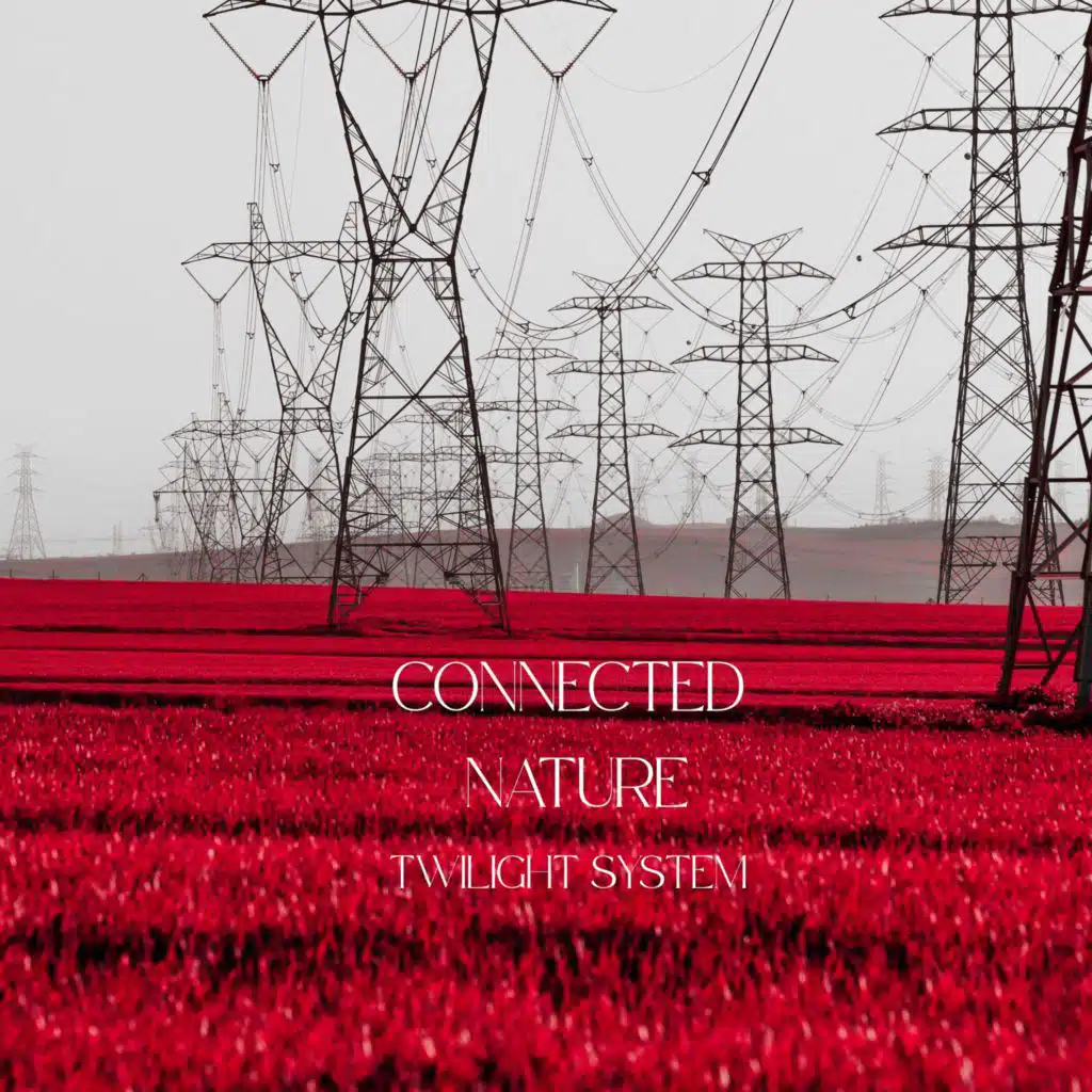 CONNECTED NATURE
