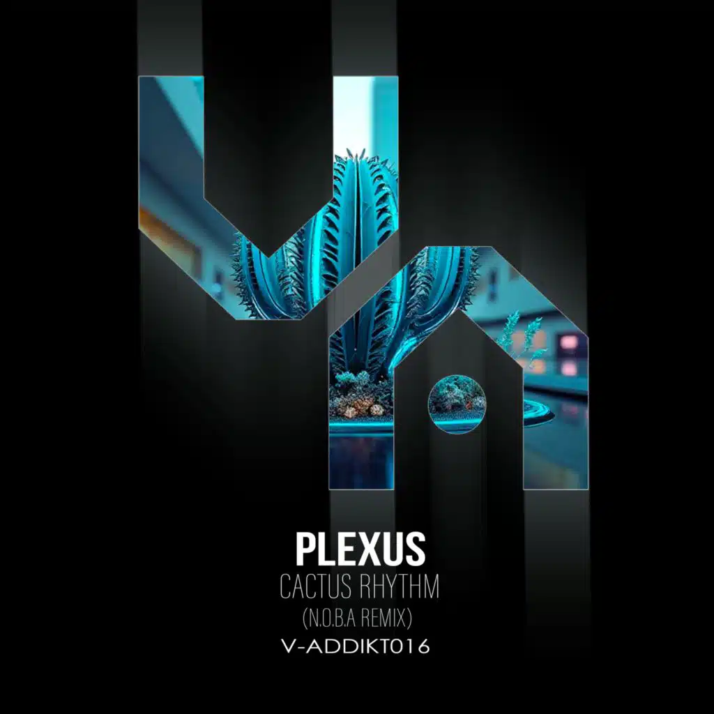 PLEXUS