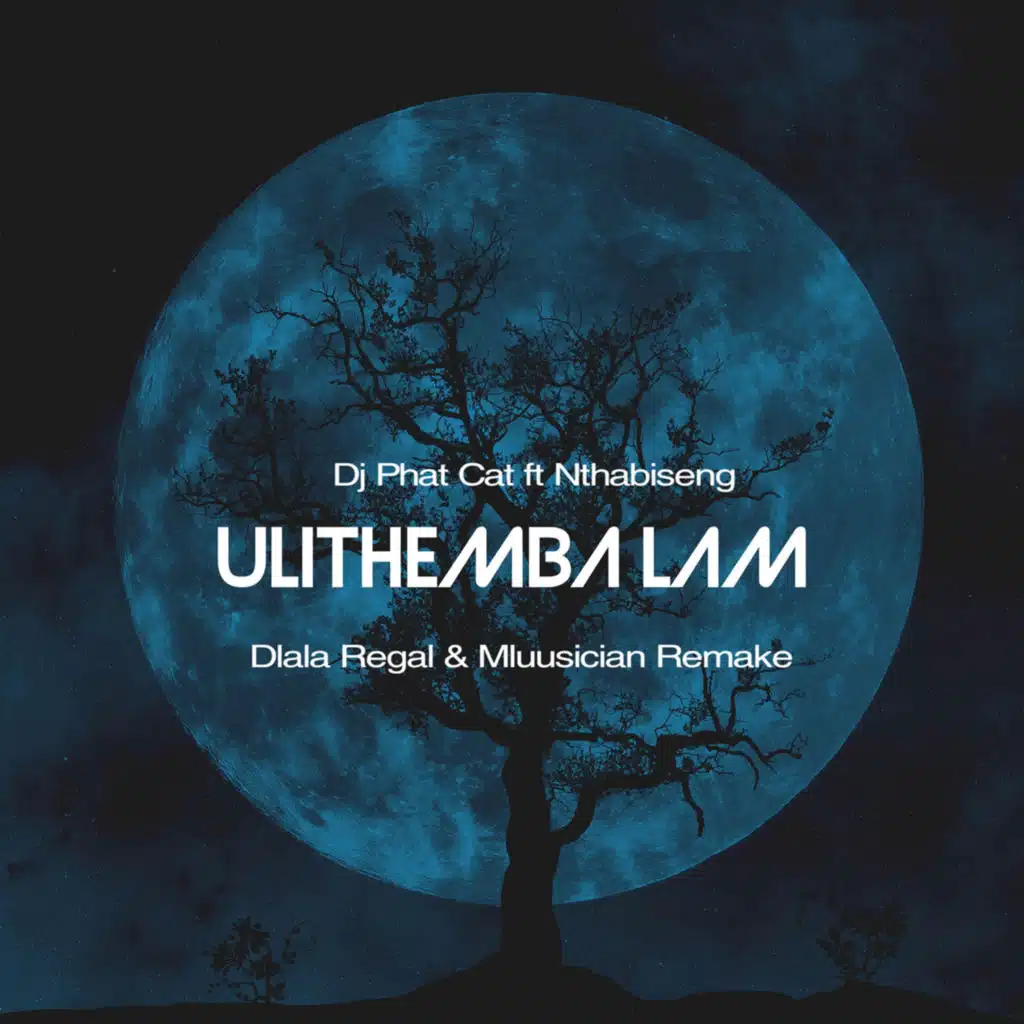 Ulithemba Lam (Dlala Regal & Mluusician Remake) [feat. Nthabiseng]