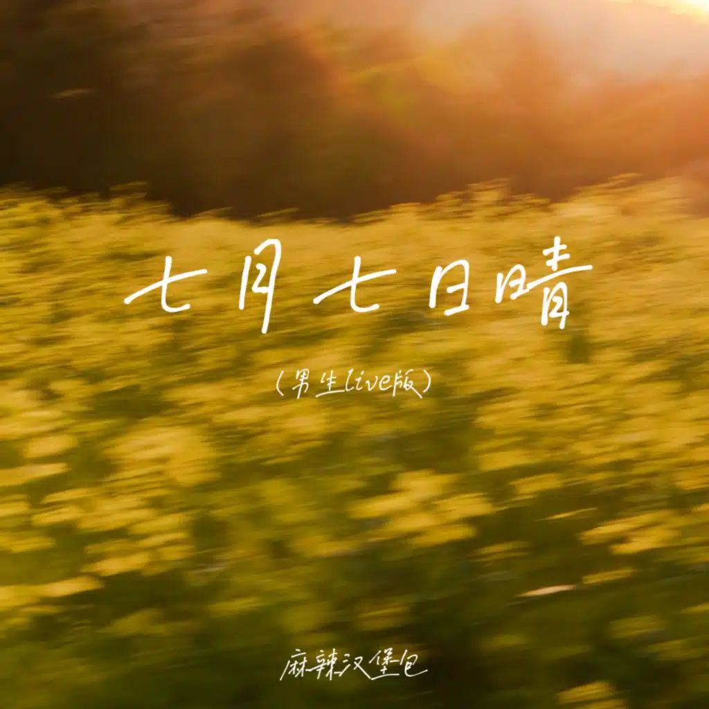 麻辣汉堡包