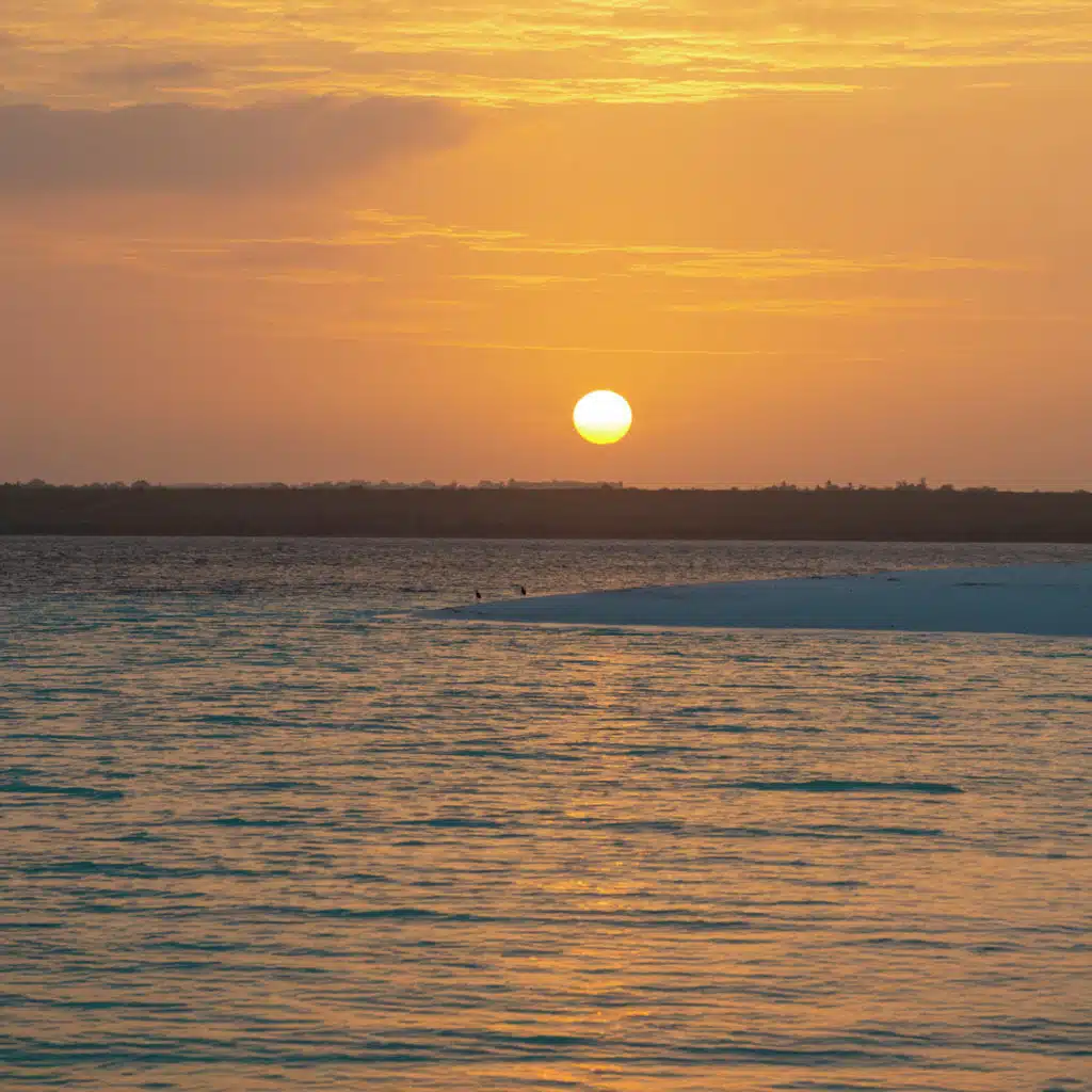 Vision Without Boundaries