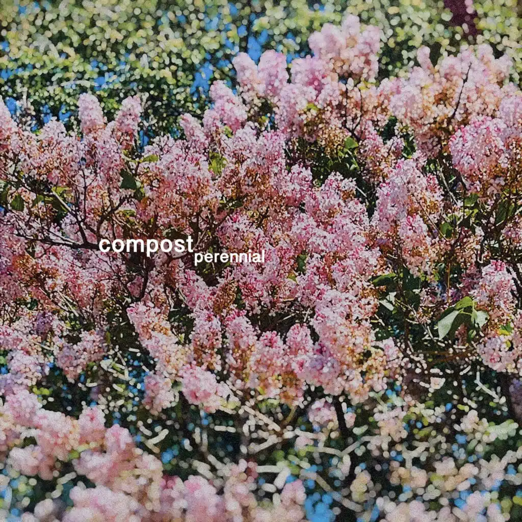 Compost