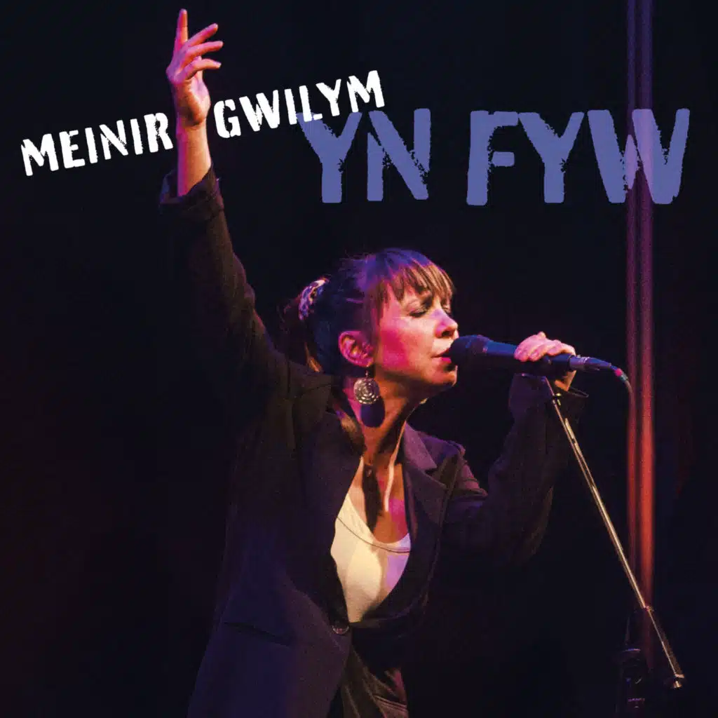 Meinir Gwilym