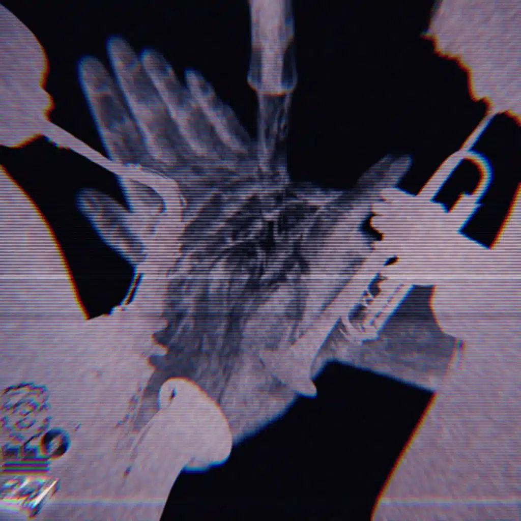 1 Hand Wash The Other 2 Ears To The Jazz