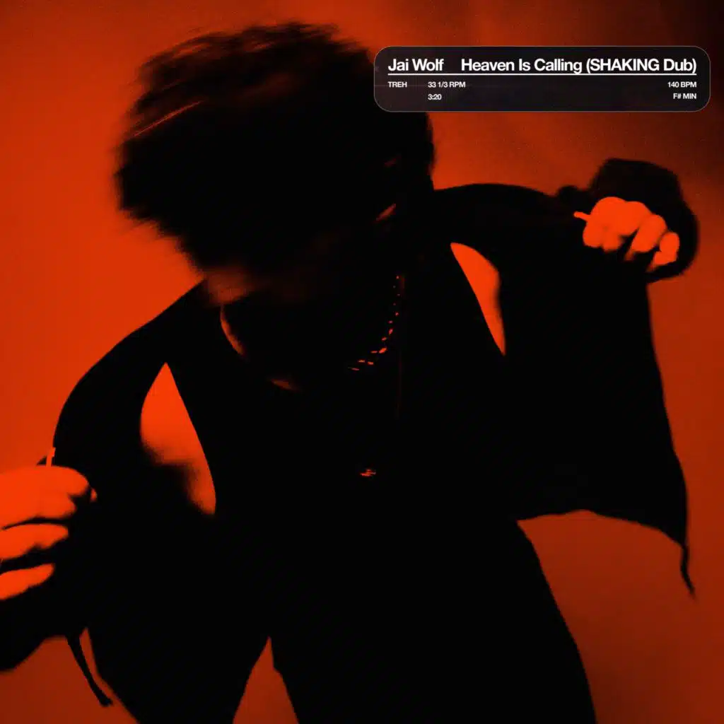 Heaven Is Calling (SHAKING Dub)