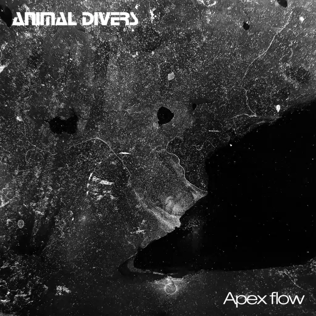 Animal Divers