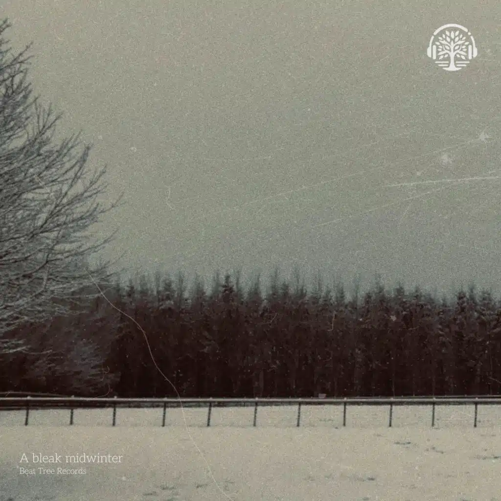 seeking for the northern star