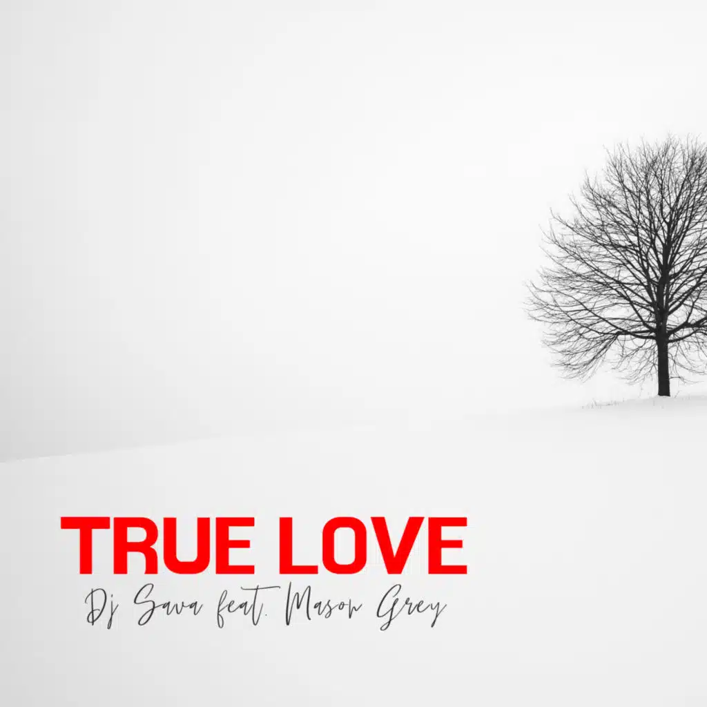 True Love (feat. Mason Grey)