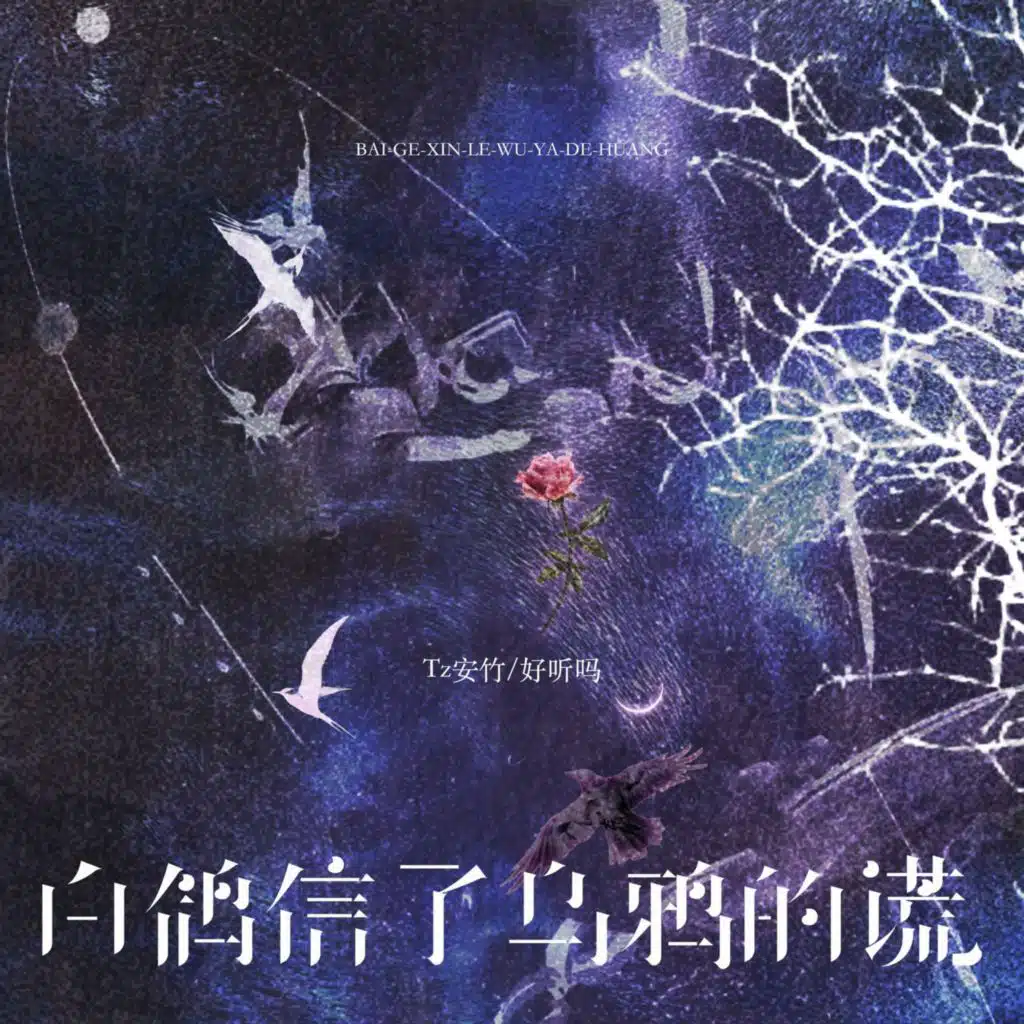 好听吗 & Tz安竹