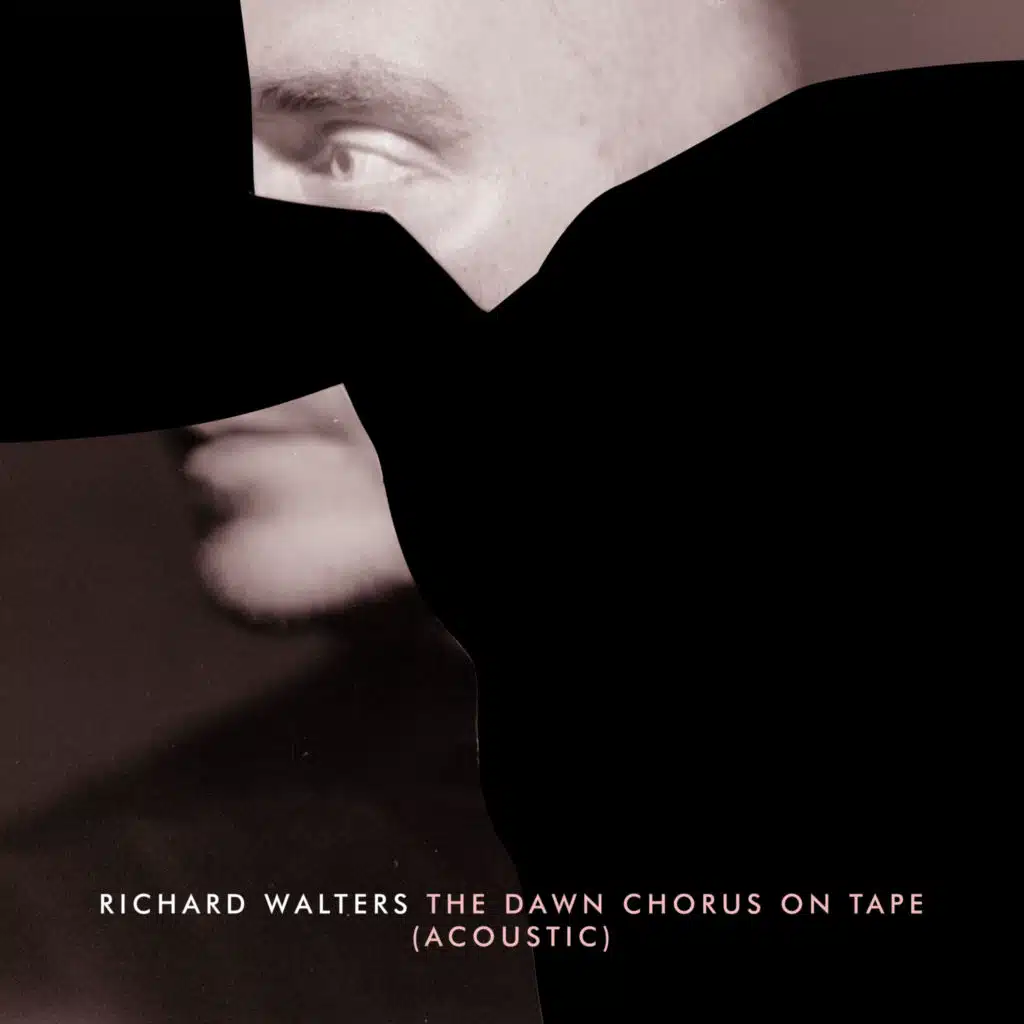 The Dawn Chorus on Tape (Acoustic)