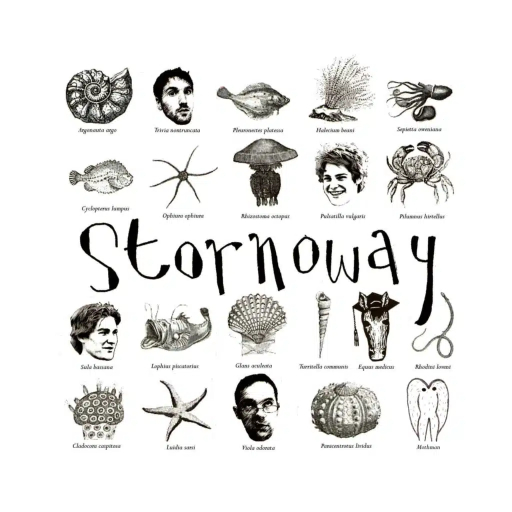 Beachcomber's Windowsill (Demo)