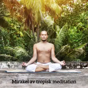 Mirakel av tropisk meditation
