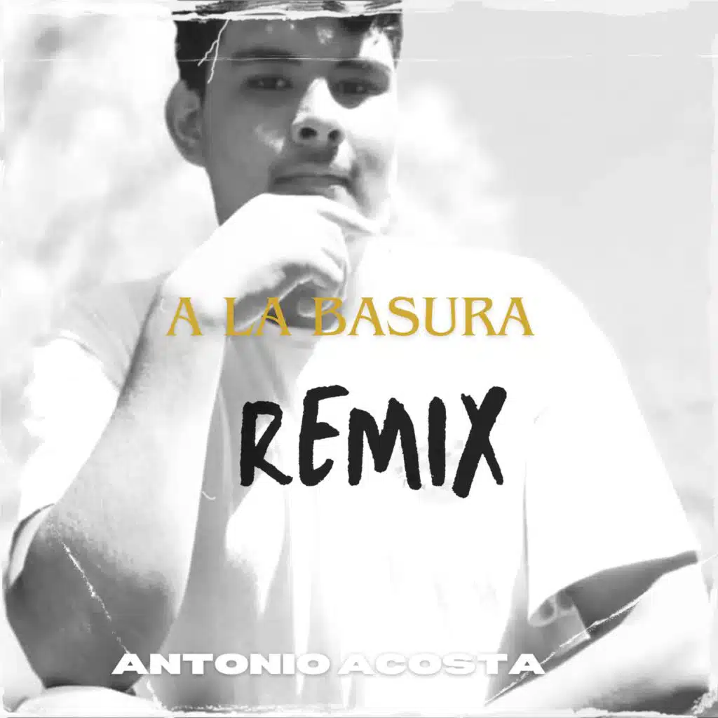 A la basura (Remix)
