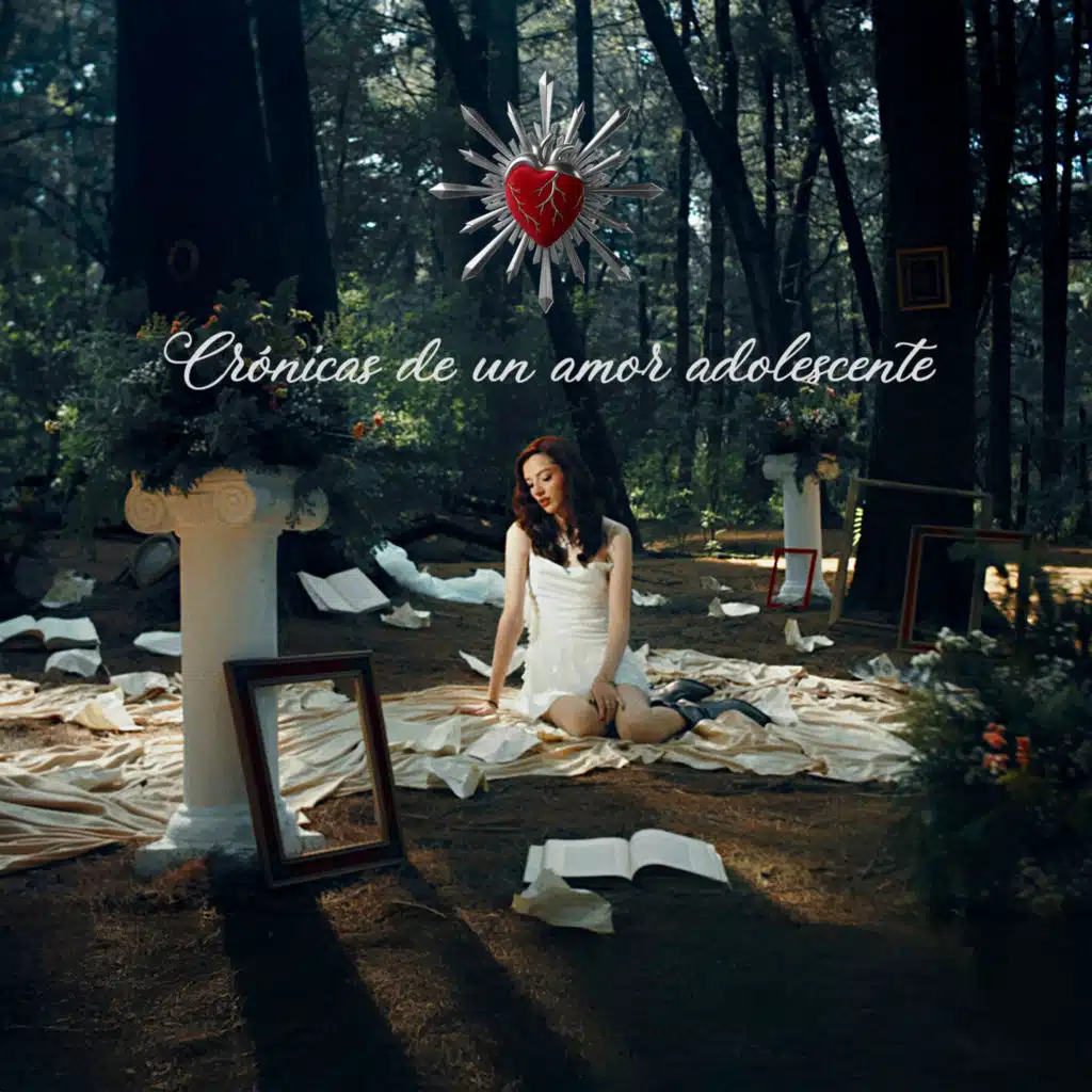 Crónicas de un amor adolescente