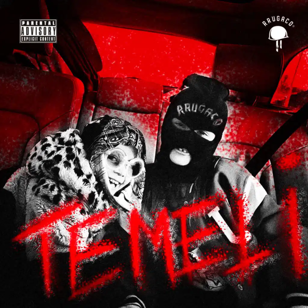 TEMELI 2