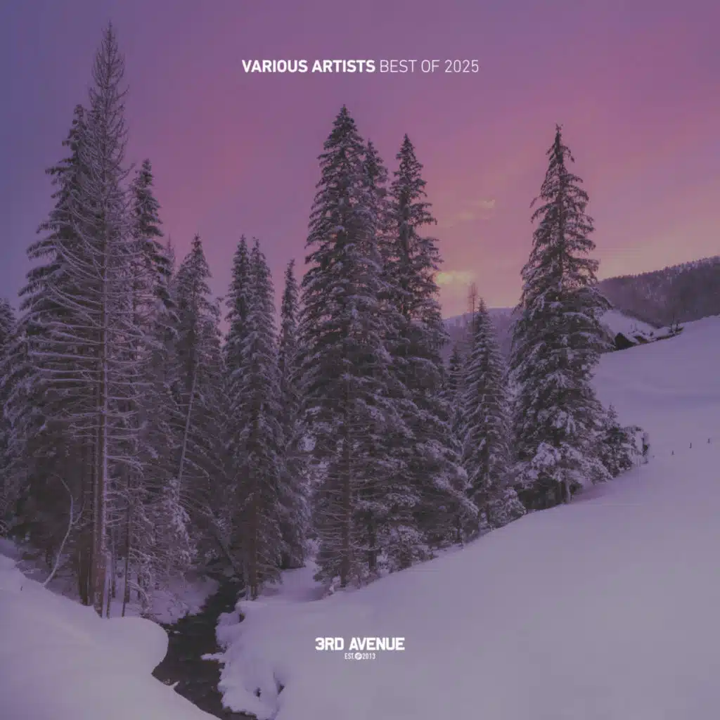 Stranger (Intro Mix)