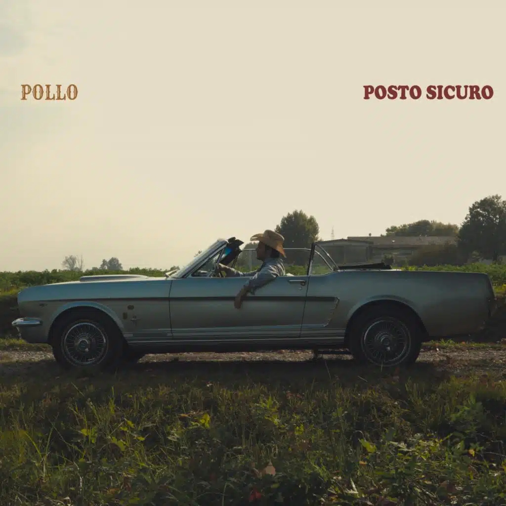 POLLO