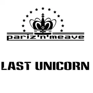 Last Unicorn