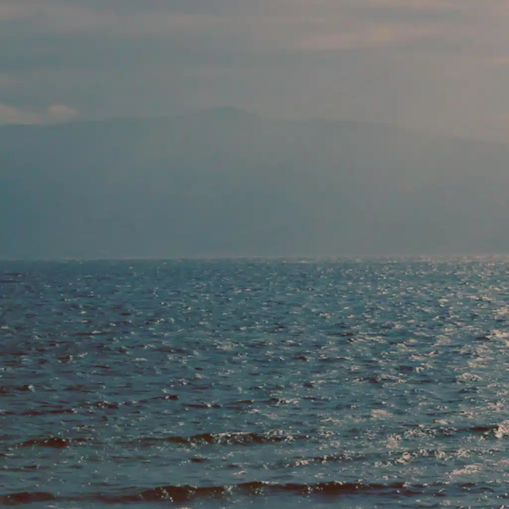 Echoes We Carry