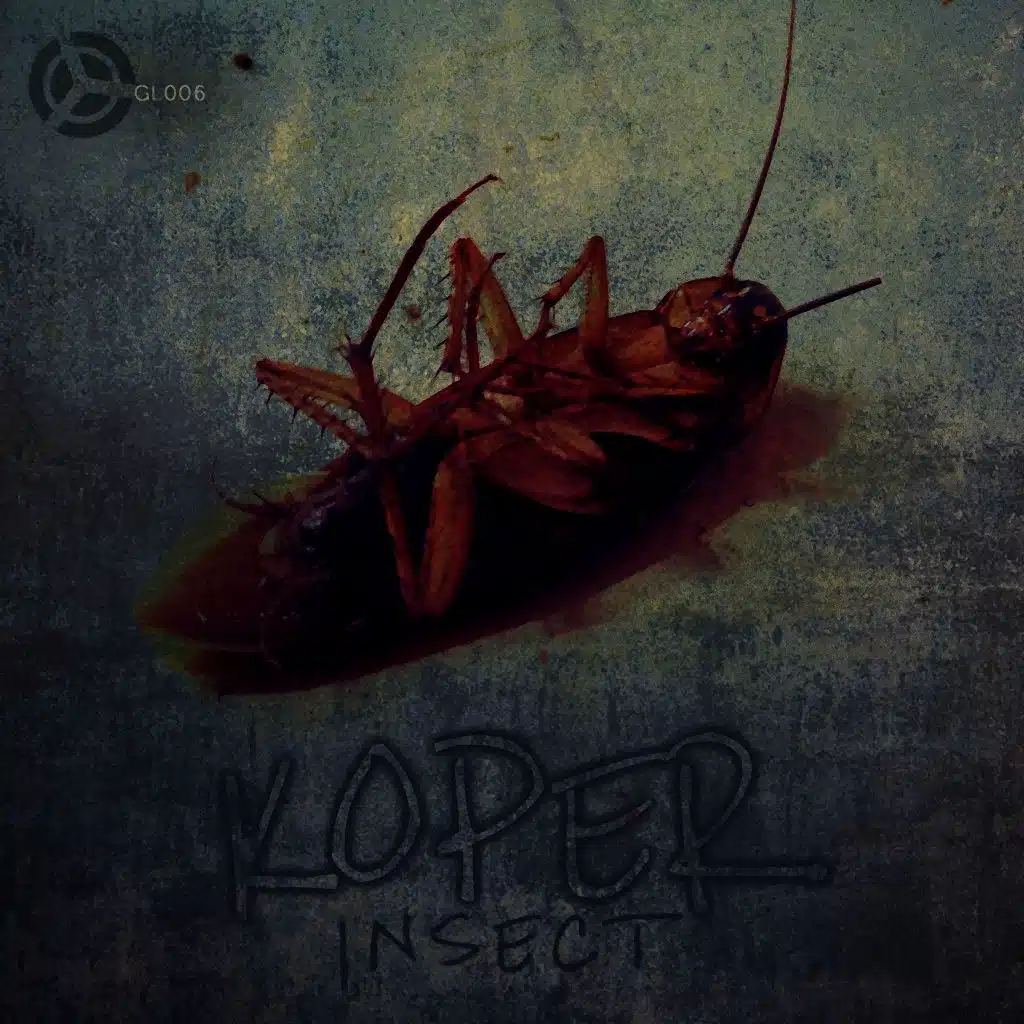 Insect