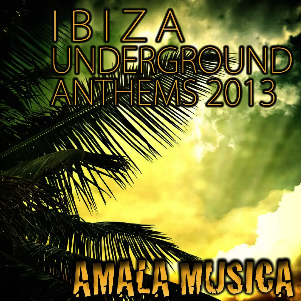 Ibiza Underground Anthems 2013