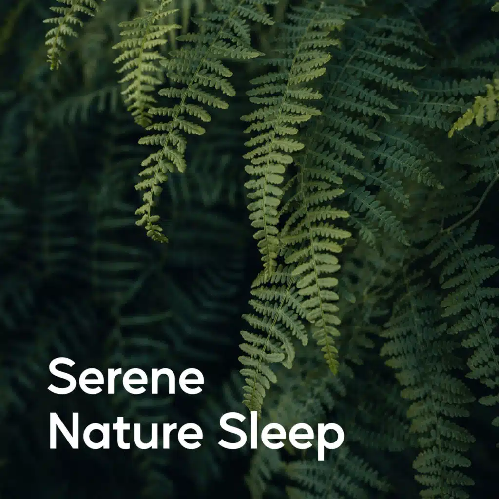 Serene Nature Sleep