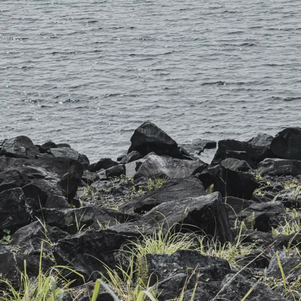 Oliver Shanti & Friends