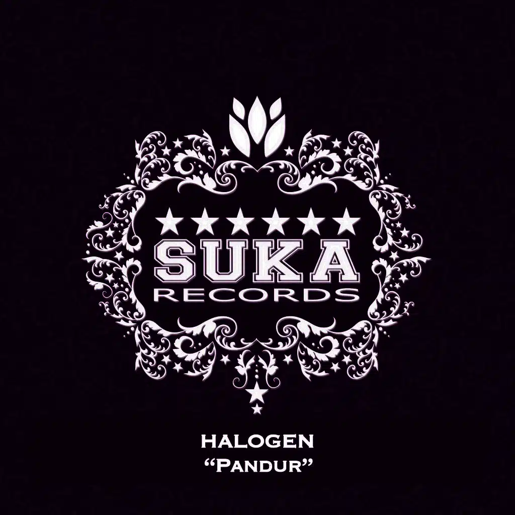 Pandur (Florian Gasperini Remix)
