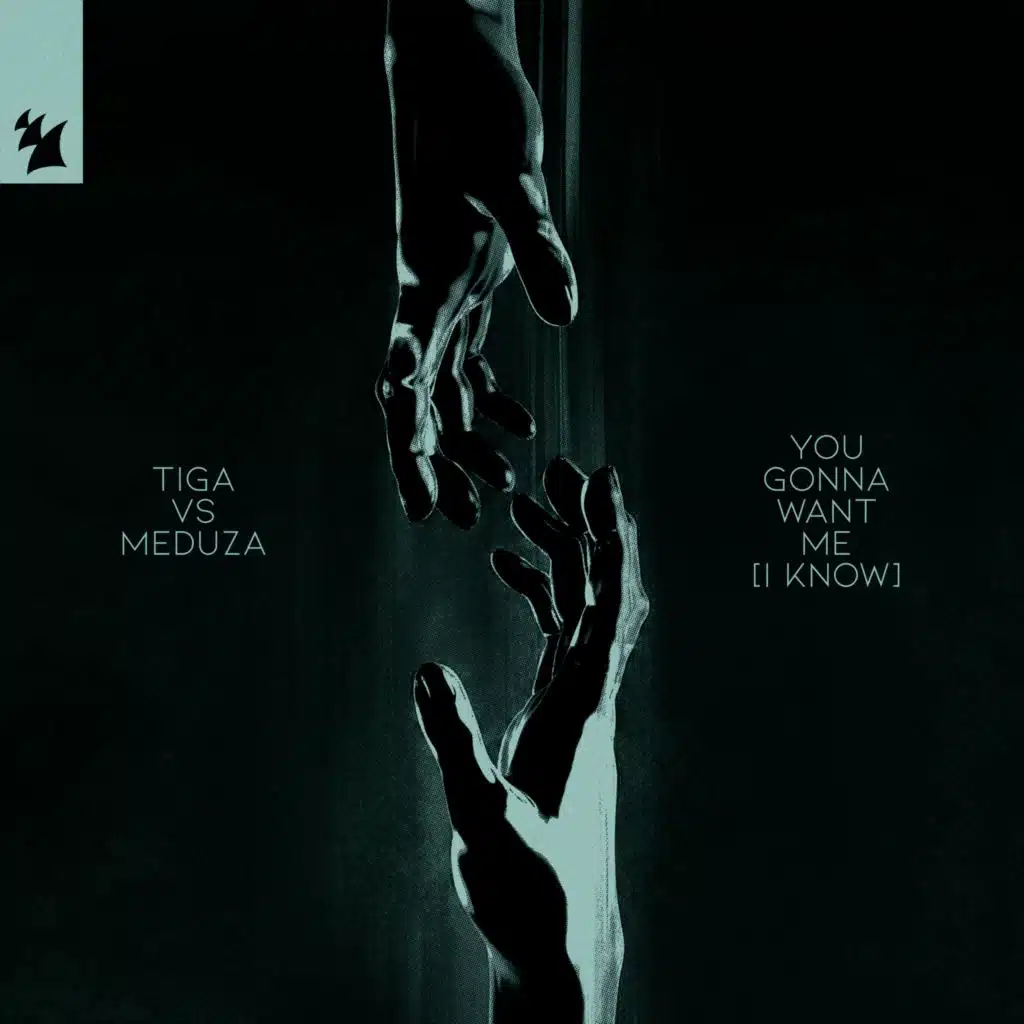 You Gonna Want Me (I Know)