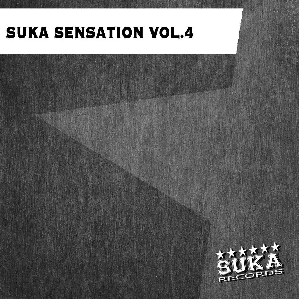 Suka Sensation, Vol. 4