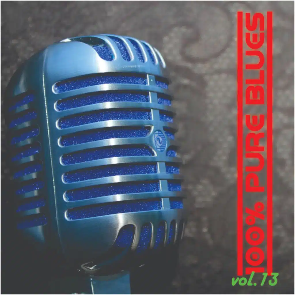 100% Pure Blues V13
