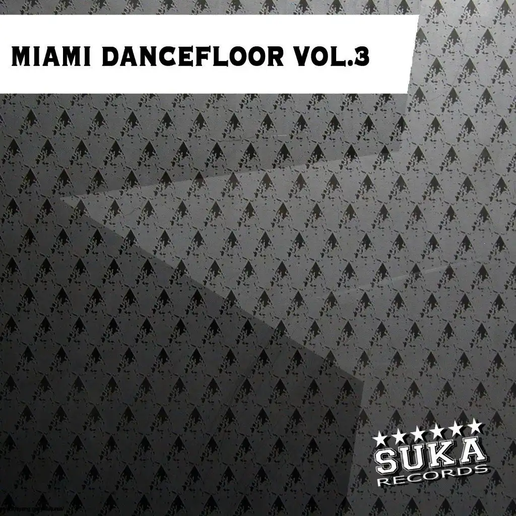 Miami Dancefloor, Vol. 2