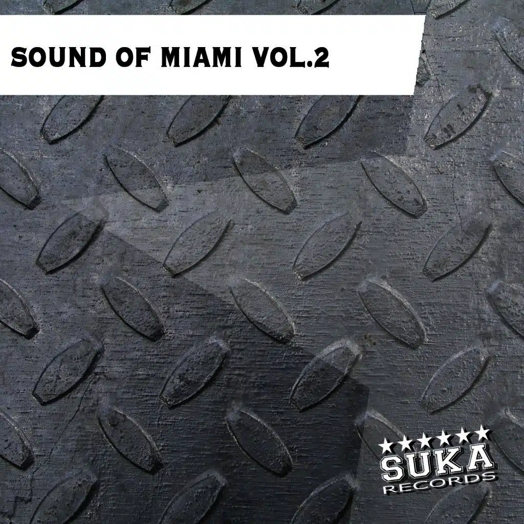 Sound of Miami, Vol. 2