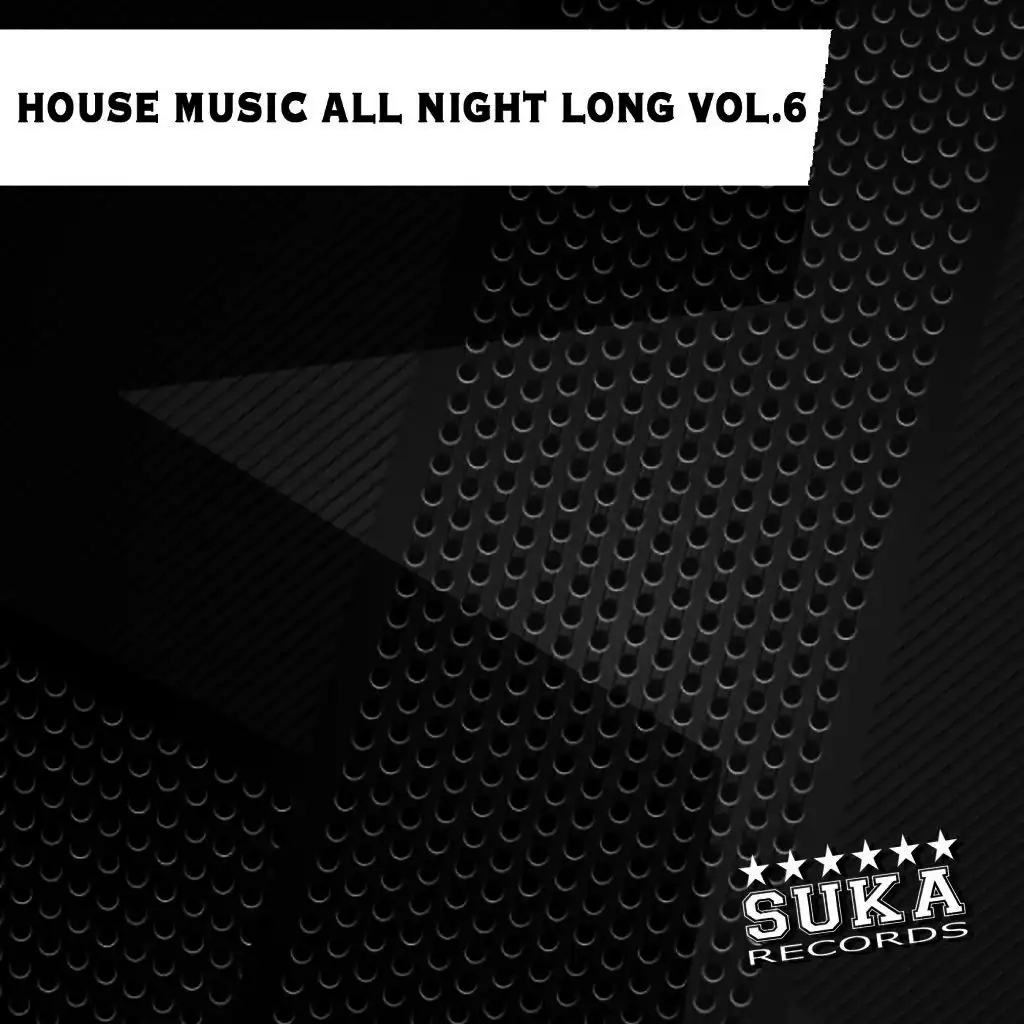 House Music All Night Long, Vol. 6