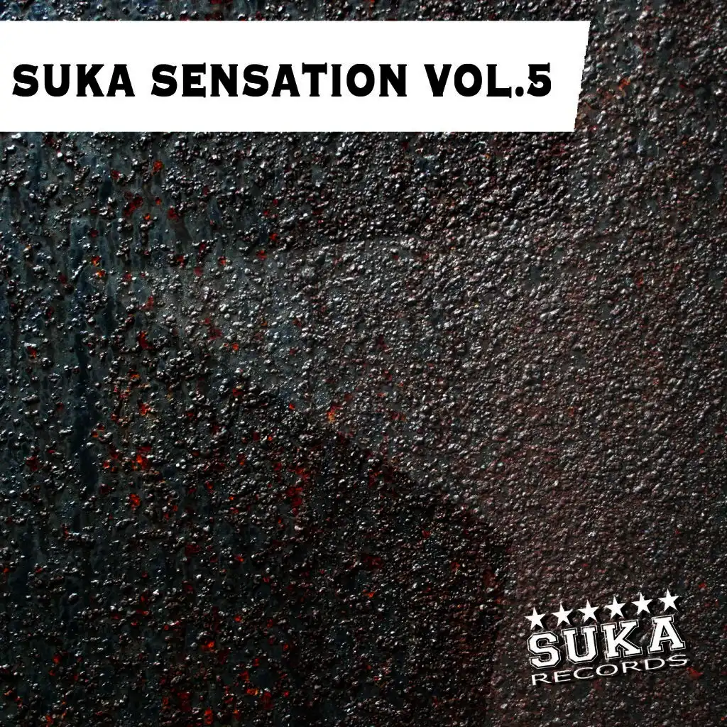 Suka Sensation, Vol. 5