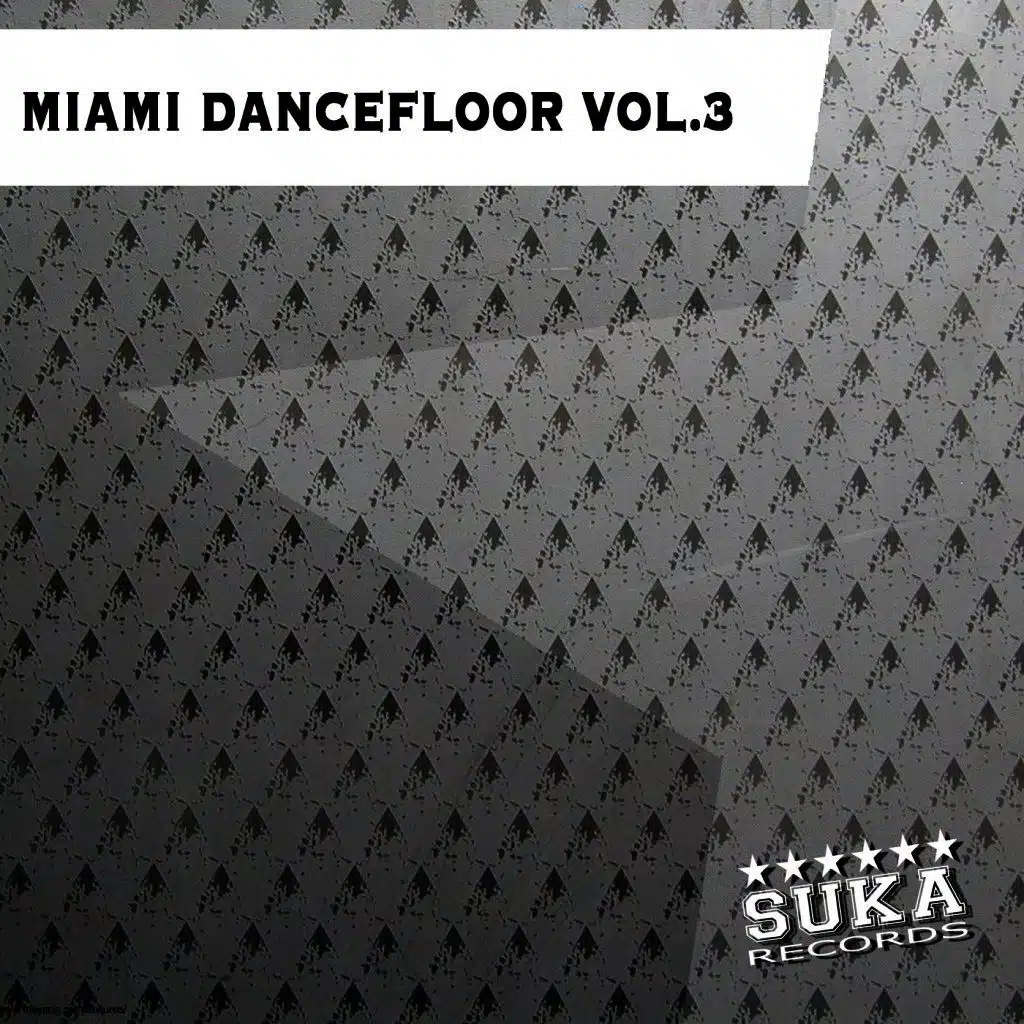 Miami Dancefloor, Vol. 3