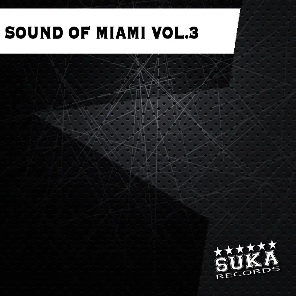 Sound of Miami, Vol. 3