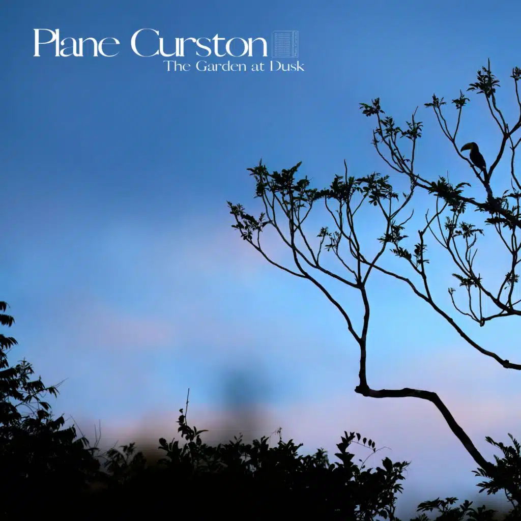 Plane Curston