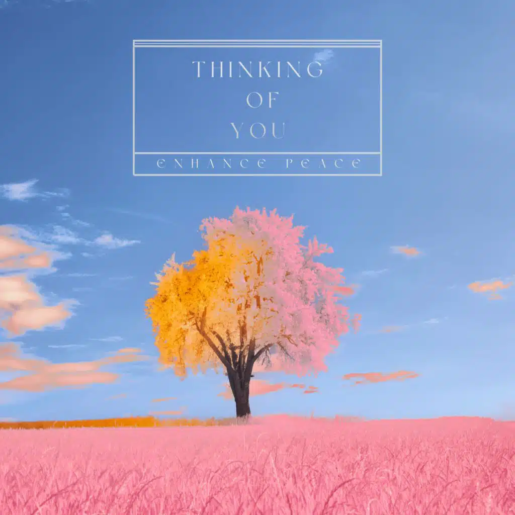 Enhance Peace