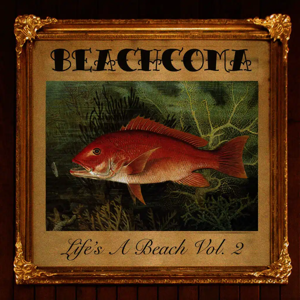 Life's a Beach Vol. 2