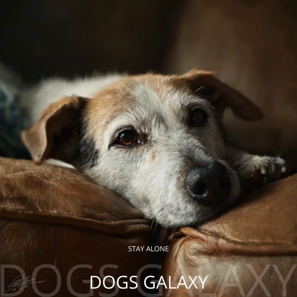 Peace (Stormy Weather)