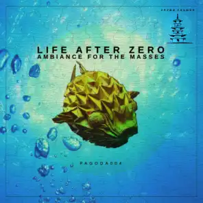 Life After Zero