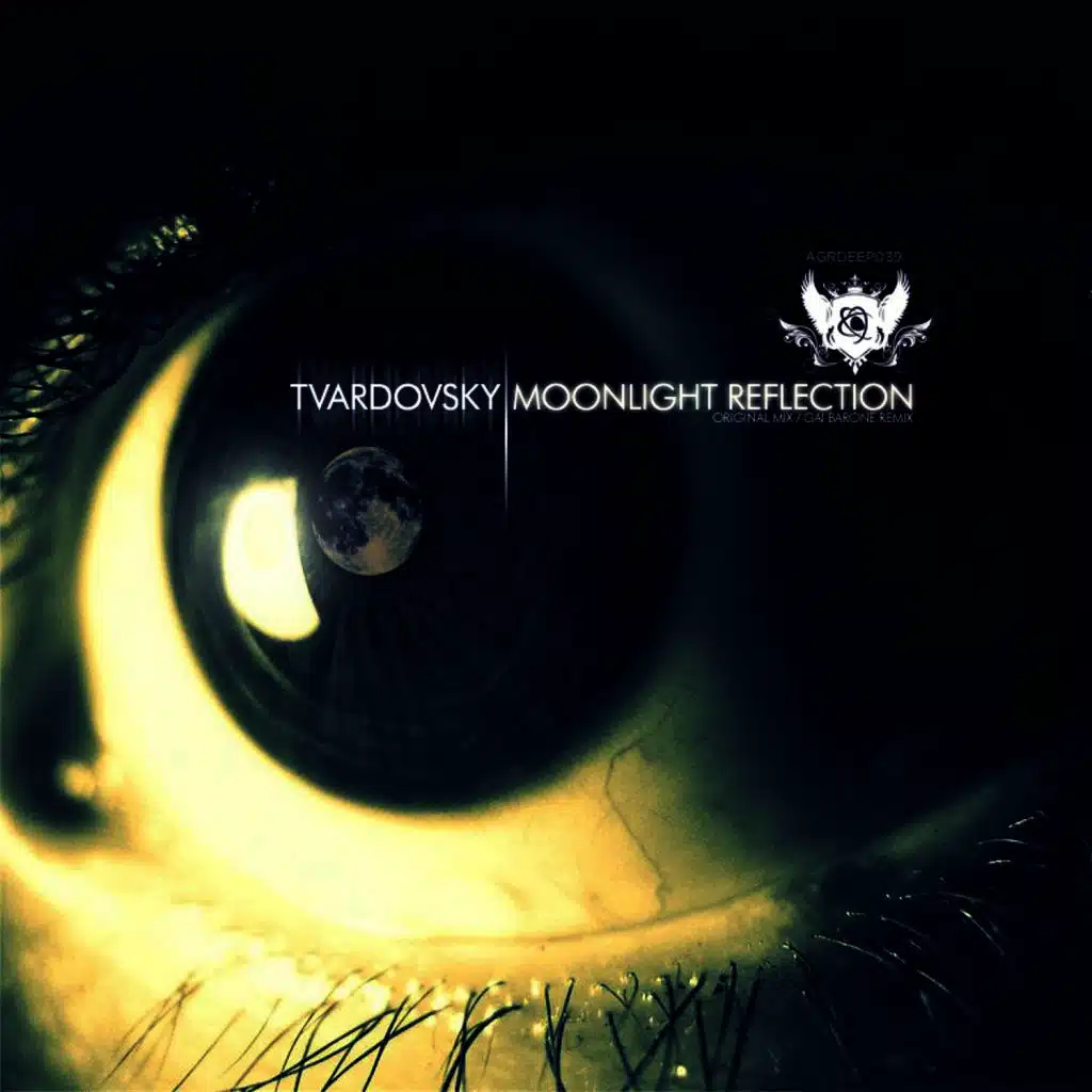 Moonlight Reflection