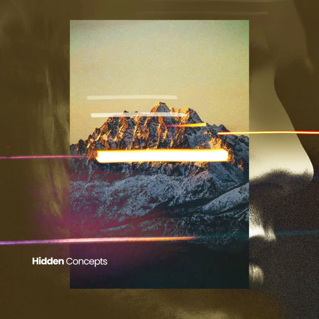 Beautiful Birds Above the Canopy