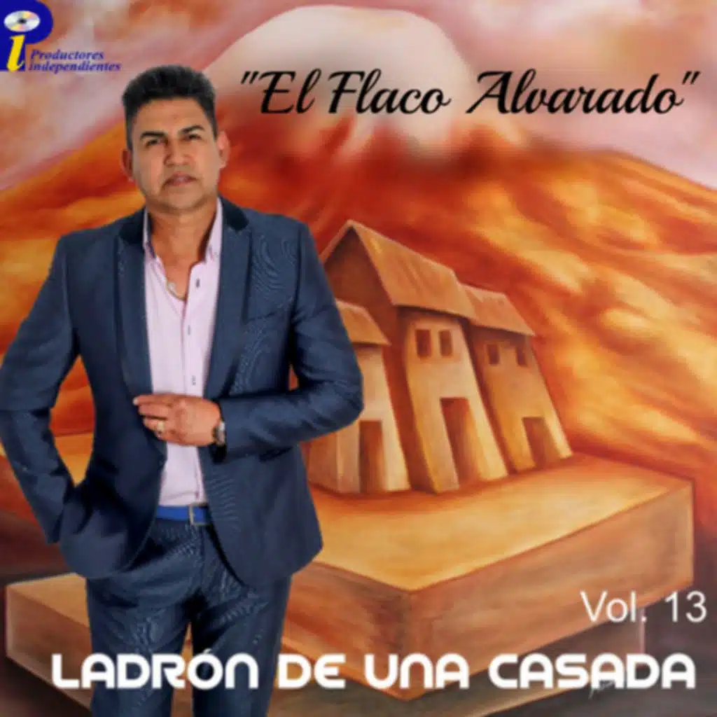 Ladrón de una casada (Vol 13)